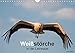 Produktbild Weißstörche in der Leineaue (Wandkalender 2018 DIN A4 quer): Eindrucksvolle Aufnahmen der Weißstörche in der Leineaue. (Monatskalender, 14 Seiten ) ... [Kalender] [Apr 01, 2017] Trappe, Janto