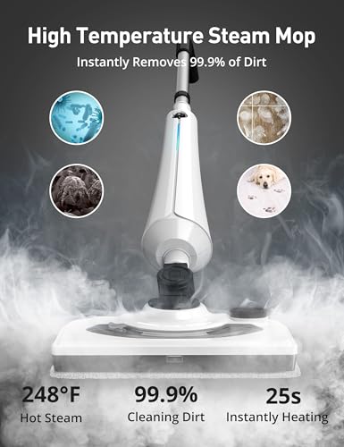 Industrial Steam Cleaner for Home