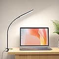 RAOYI LED Desk Lamp, 5W USB Clip on Light Eye-Caring Reading Clamp Table Lamp with 48 LEDs Flexible Gooseneck, 3 Color Modes and 14 Brightness Levels for Office Bedroom Study (Black)