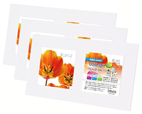 Chikuma フォトフレーム UclidマットEX ましかく2面 ブライトホワイト 3冊セット 30055-7