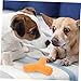 BESPORTBLE 2pcs Dog Chew Toy Unique Interactive Puppy Squeaky Toy for Fun Playtime Material Bright Color Design for Chewing and Teeth Cleaning Activities
