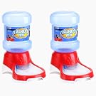 Kit 02 Bebedouros para Cães Gatos Pet Cachorro Caes Pequeno Médio Porte Automático 2 Litros Água Sempre Fresca e Limpa Fonte Galão Pote Vasilha Bebedor Animais Mais Vendido Conjunto - Vermelho