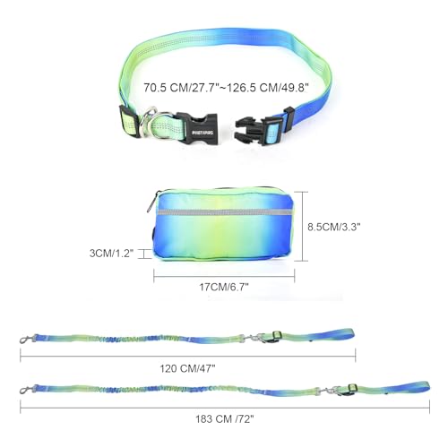 PINETAPIRS Adjustable Waist Leash with Zipper Pouch for Dog,Shock Absorbing Bungee Hands Free 3.9-6 Feet Long with Reflective Stitches,Wide Padded Waist Dog Running Leash