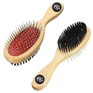 The Pets Company Dog Brush Double Sided Comb for Dogs and Cats, Large