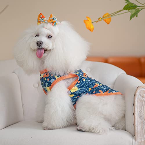 Image of CuteBone Dog Shirts 2-Pack Soft Pet Clothes Breathable Summer Vest for Small Puppy and Stretchy Cat Apparel