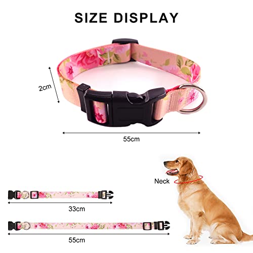 Collari per animali domestici in 2 pezzi, collare