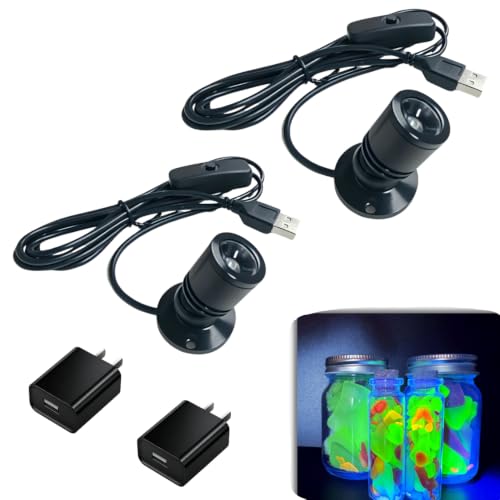 PDClnyck USB Mini UV Spot Light