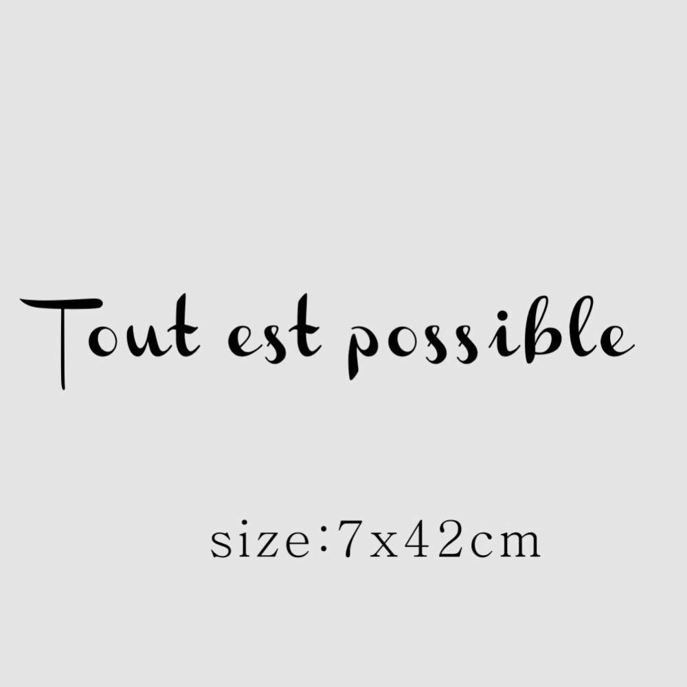 Possible French Motivational Inspirational Quote Vinyl Wall Stickers for Living Room Home Decor42*7Cm