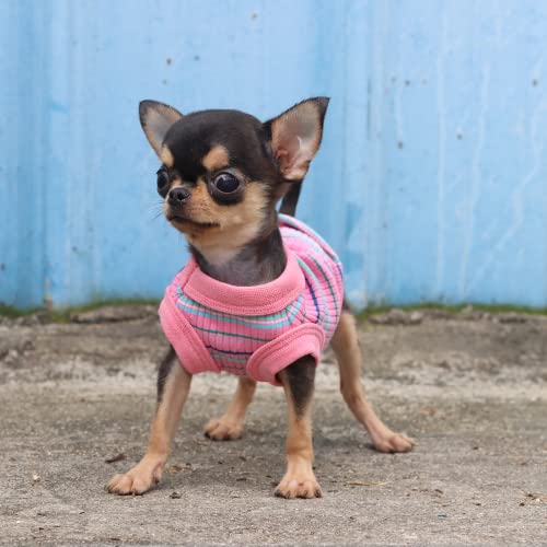 Lophipets 100% Cotton Rib Dog Shirt Vest For Small Dogs Teacup Chihuahua Yorkie Puppy Clothes Tank Tee-Pink/Xxs #TOP6