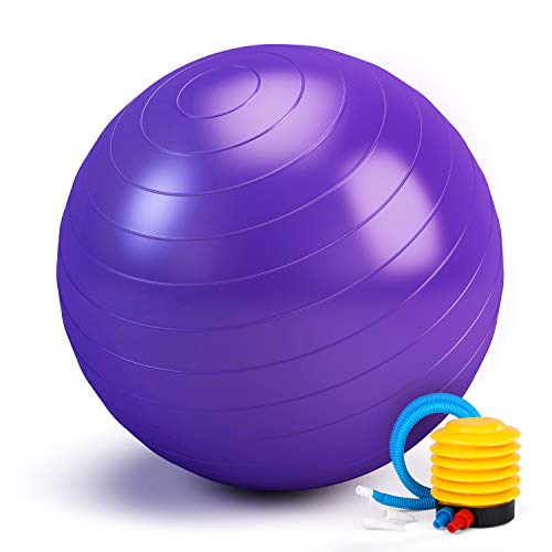 Smartor Exercise Ball 65CM Fitness Ball, Anti-Burst Stability Ball with Quick Pump, Professional Balance Ball for Pilates, Yoga, Core Strength, Birthing Exercise (Purple)