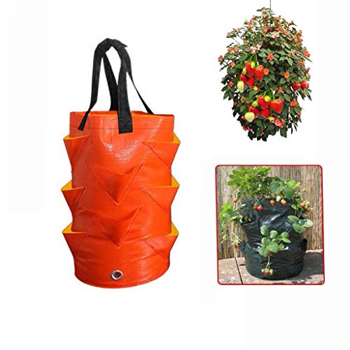 3 Gallons Strawberry Grow Bags, Plastic Strawberry Planting Grow Bags, MultiMouth Growing Bags with Handles,Foldable Durable Grow Bags for Planting Strawberry Potato Carrot Onion Taro Radish Peanut
