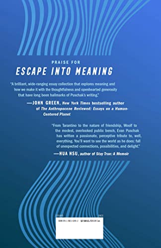 Escape into Meaning: Essays on Superman, Public Benches, and Other Obsessions - Image 2