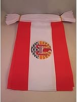 Vista 20 de Guatemala 19.7 ft BUNTING Flag 20 banderas 9'' x 6'' - Banderas de cuerda guatemalteca 5.9 x 8.3 in - AZ FLAG