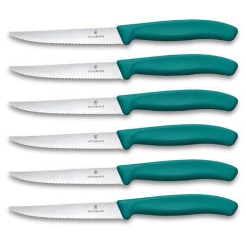 Victorinox Swiss Classic Set profesional de cuchillos para carne y pizza, 6 piezas, cu. de mesa, filo dentado y afilado, 11 cm, mango de plástico robusto, verde