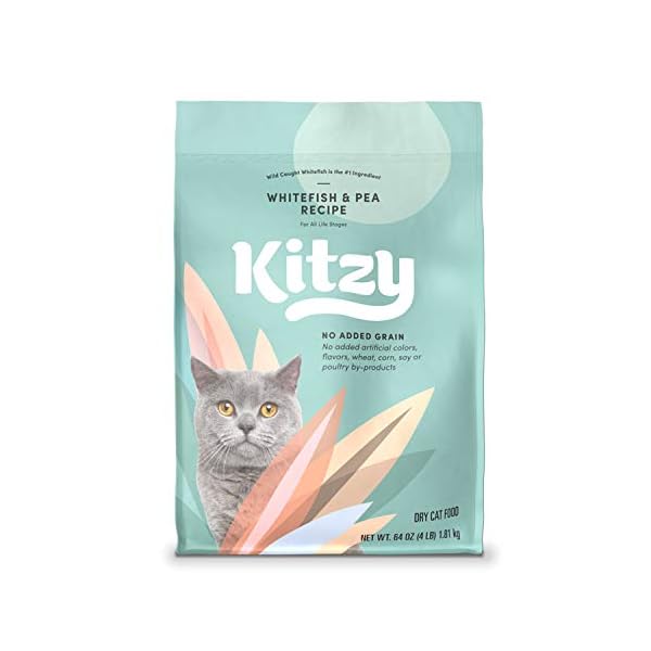 Amazon Brand – Kitzy Dry Cat ...