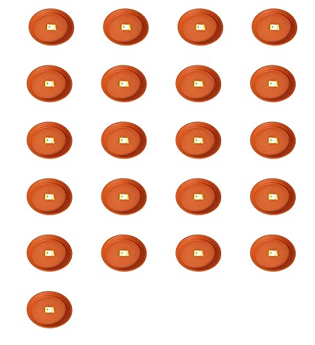 See full amazon price history chart for SPYLARKS™ Heavy Duty Planter Gamla Bottom Plate/Tray/Saucer Base Plate/Dip Tray for Flower Pots (8inch)(Pack of 21) SPYLARKS™ Heavy Duty Planter Gamla Bottom Plate/Tray/Saucer Base Plate/Dip Tray for Flower Pots (8inch)(Pack of 21) (B08GKV8V28) Amazon Price History, Amazon Price Tracker