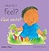 What Do I Feel? / Que Siento? (Small Senses Bilingual) (English and Spanish Edition)