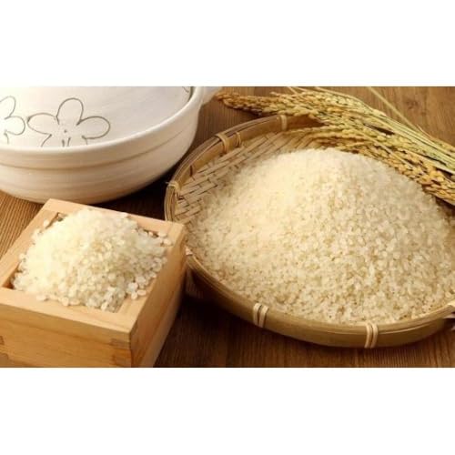 2024年秋収穫分 福岡県大川市産ヒノヒカリ 真空パック仕様 12個入り