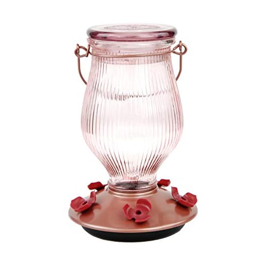 Perky-Pet 9104-2 Rose Gold Top-Fill Glass Hummingbird Feeder Rose Gold 24 oz Capacity