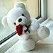 GailiMaiYa Teddy Bear Plush Stuffed Animal Valentines Teddy Bear with Rose,Sweet Bear Great Gift for Your Loved One,Girlfriend Kids Birthday, Valentine, Christmas (9.84 inches, White)