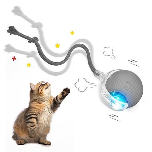 Suphiongs ?2025 Upgrade Interactive Rolling Cat Toy Ball, Chewie 360° Smart Automatic Self Rolling Dog Ball Toys, Automatic Electric Moving Ball Toy for Indoor Cat Kitten