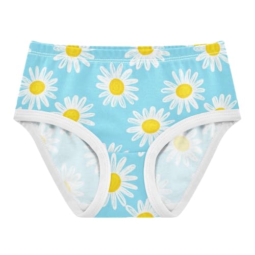 Joisal Girls Underwear Toddlers 2t Cotton Little Girl Panties Personalized Briefs Kids Undies White Daisies Floral Light Blue