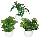 Q・L・Y 観葉植物 フェイクグリーン 3点セット ミニ 卓上 モンステラ アイビー ユリタケ PP鉢 造花 インテリア 置物 玄関 リビング おしゃれ