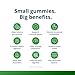 Metagenics UltraFlora 3 in 1 Daily Probiotic & Postbiotic Gummies - Shelf-Stable for Adults & Kids - Supports Gut Health, Healthy Gut Flora & Immune Support* - 60 Gummies