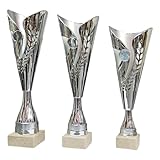 tecnocoppe Trío de copas con placa personalizada de regalo