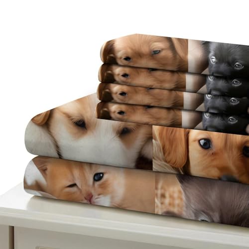 Housse de Couette Chatons Effet 3D Premium et Confortable pour Lit 260x220 cm - 7