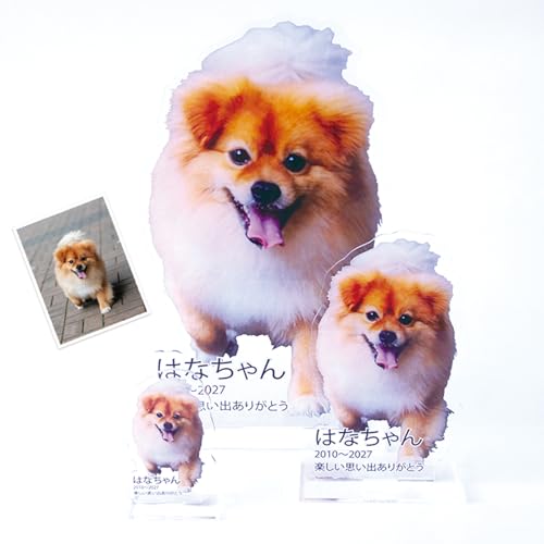 ʐ^ ANX^ ybgʔv  ybg ؂蔲  ANX^h ((15cm))