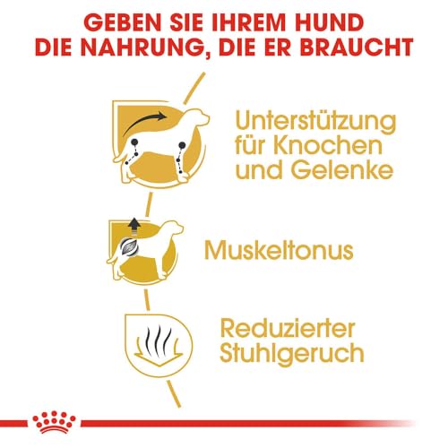 Royal Canin Dachshund Adult | 4er Pack | 4 x 500 g | Alleinfuttermittel für ausgewachsene Dackel ab dem 10. Monat
