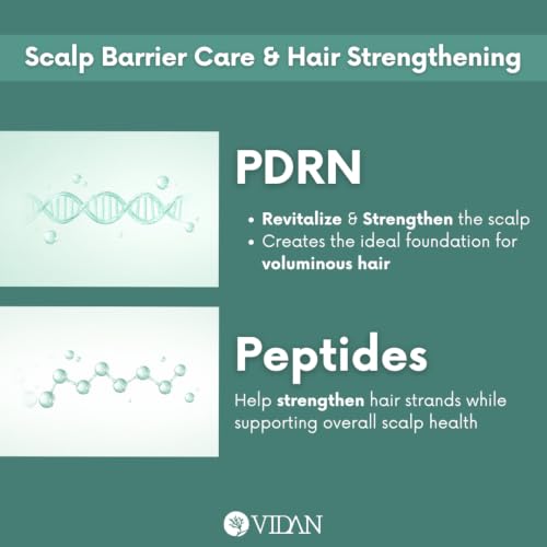 Image of VIDAN RE:ROOT PDRN Scalp Balancing Shampoo, Korean Volumizing Shampoo for Thinning Hair, Sulfate-Free & Vegan with Peptides, Cooling Menthol for Dry, Sensitive Scalp (10.14 Fl Oz)