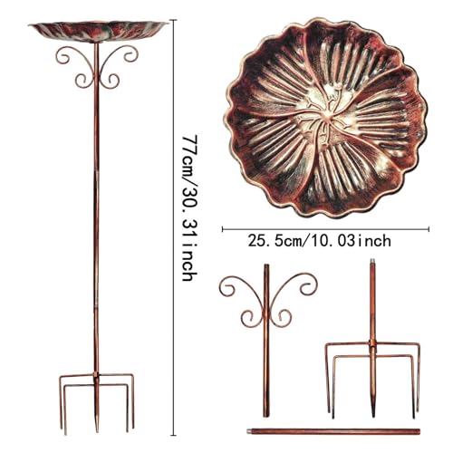 Bain d'oiseaux décoratif résistant au vent abreuvoir stable pour jardin