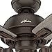 Hunter Fan Company, 52228, 44 inch Donegan Onyx Bengal Ceiling Fan with LED Light Kit and Pull Chain