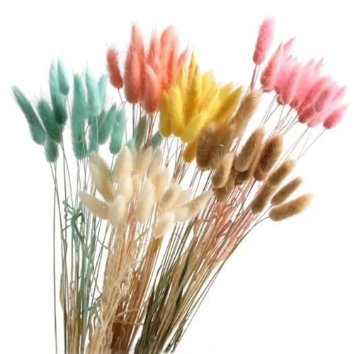 Dried Pampas Grass Décor 50Pcs 17.72 in Natural Orange miniatura 2