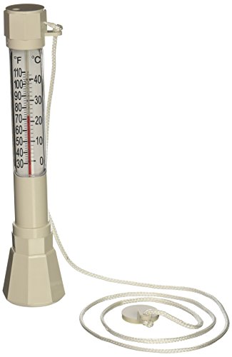 Pentair Endura Floating Thermometer
