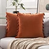 BREASOME Fundas Cojines 45x45 cm, Juego de 2 Fundas de Cojin Liso Naranja con Fleco Estilo Nórdico Minimalista Fundas de Almohada Decorativas Cuadradas de Terciopelo para Sofá Dormitorio Sala de Estar