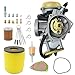 laffoonparts Ozark 250 Carburetor w/Fuel Filter Air Filter Replacement for Suzuki LTF250 Ozark 250 2002-2009 2012-2014, QuadSport Z 2004-2009 Replace# 13200-21G10 13200-05G22 13200-05G00