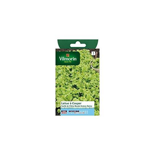 Vilmorin - Sachet graines Laitue à couper Feuille de Chêne blonde graines noires