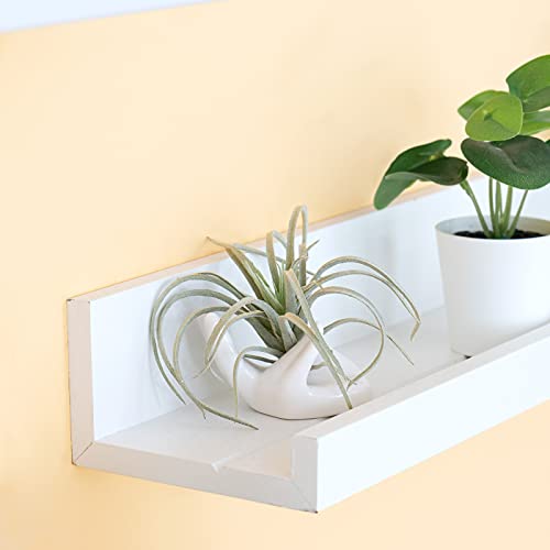 Dahey Air Plant Holder Cute Ceramic Mini Hand Shape Stand Airplants Tillandsia Small Container Pot Plant Decorative Home Decor For Desk Table Shelf,White,3 Packs #TOP3