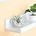 Dahey Air Plant Holder Cute Ceramic Mini Hand Shape Stand Airplants Tillandsia Small Container Pot Plant Decorative Home Decor for Desk Table Shelf,White,3 Packs