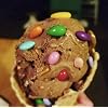 Chocolate Covered Sunflower Seeds - Multicolored Candy Coated Treats - Rainbow Sunny Seeds - Sweet and Crunchy Topping - 1 LB Resealable Bag