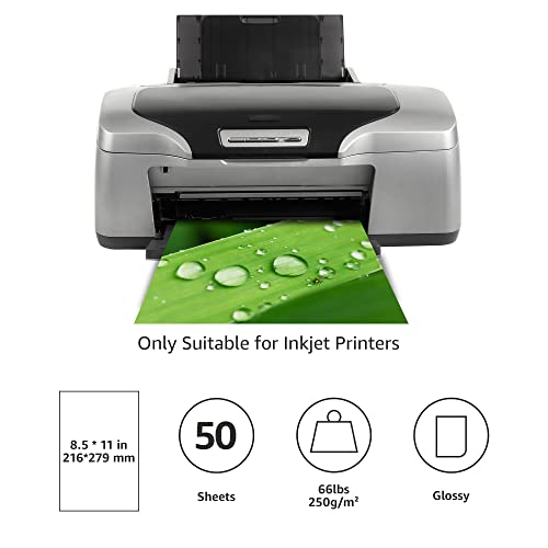 Amazon Basics Photo Paper, Glossy, 8.5 X 11 Inch, Pack Of 50 Sheets, 250G/M² #TOP1