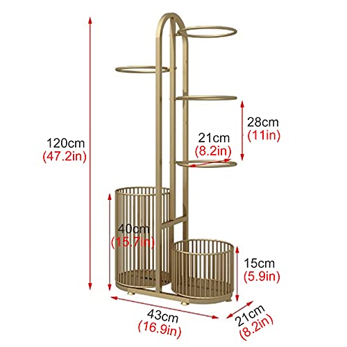 Opiniones y reviews de Equipacion baloncesto nino que puedes comprar esta semana. 12 Imagen adicional