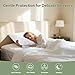 CoolShields Premium 100% Cotton Waterproof Pillow Protectors with Zipper, Breathable & Noiseless, Hypoallergenic Soft Skin-Friendly Surface for All-Night Comfort, Queen Size - 20”x30” (2 Pack)
