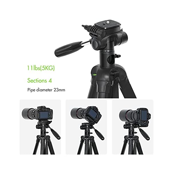 Andoer Kamera Stativ 168cm Tragbares Fotografie Stativ Einbeinstativ aus Aluminiumlegierung 360 ° drehbar 5 kg… – Bild 5