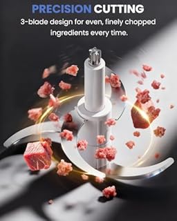 LINKChef Food Processor Small, 10 Cup Food Chopper with Container, 2.3L 600W Electric Meat Grinder for Home Use, Stainless Steel Mini Food Processor for Kitchen, Vegetable, Onion, Garlic, Salad