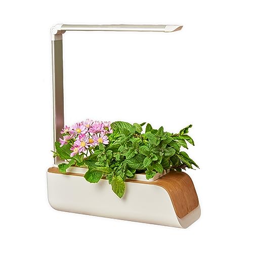 CULTIVEA® Potager intérieur...