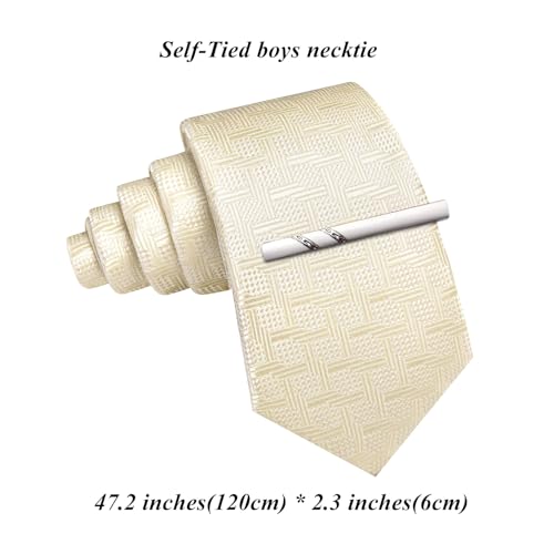 Image of Barry.Wang Boys Ties School Pre-Tied Kids Necktie Handkerchief Clip Set Uniforms Child Ties for 8-14 Years Wedding Party